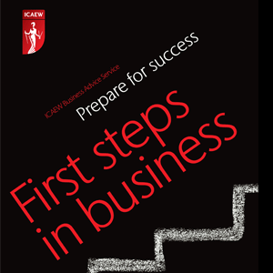 First Steps in Business Prepare for success
