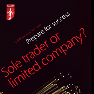Sole trader or limited company, Prepare for success