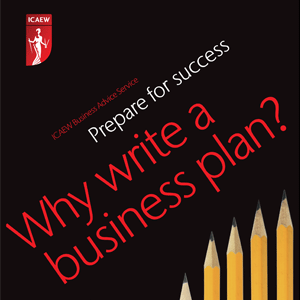 Why write a business plan?