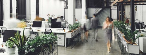 Budget 2025 Business