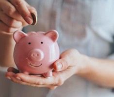 Personal Tax Piggy Bank